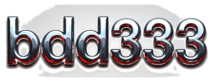 bdd333 logo